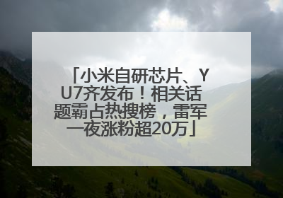 小米自研芯片、YU7齐发布！相关话题霸占热搜榜，雷军一夜涨粉超20万
